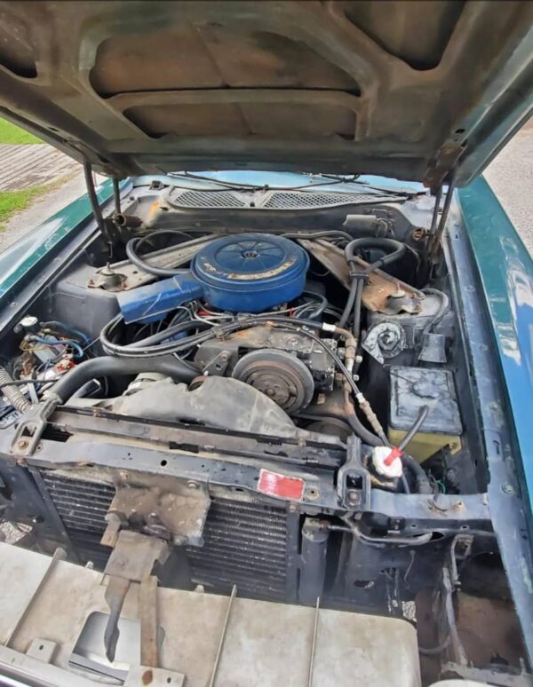 1972 Ford Mustang Convertible | Classic V8 Muscle Car | Iconic American Drop-Top