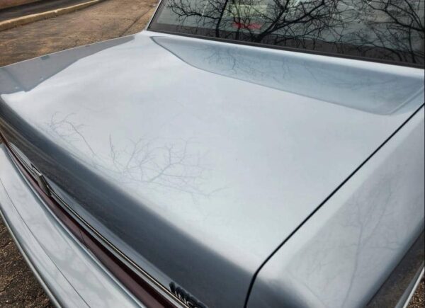 1993 Lincoln Town Car Executive Series – Classic Luxury Sedan, Low Miles, Well-Maintained