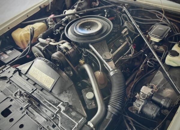 1984 Cadillac Eldorado Biarritz Convertible – Classic Luxury Cruiser | Rare Drop Top | V8 Power