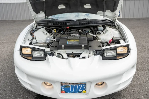 1999 Pontiac Firebird Trans Am Convertible | LS1 V8 | 56k Miles | Arctic White | No Reserve